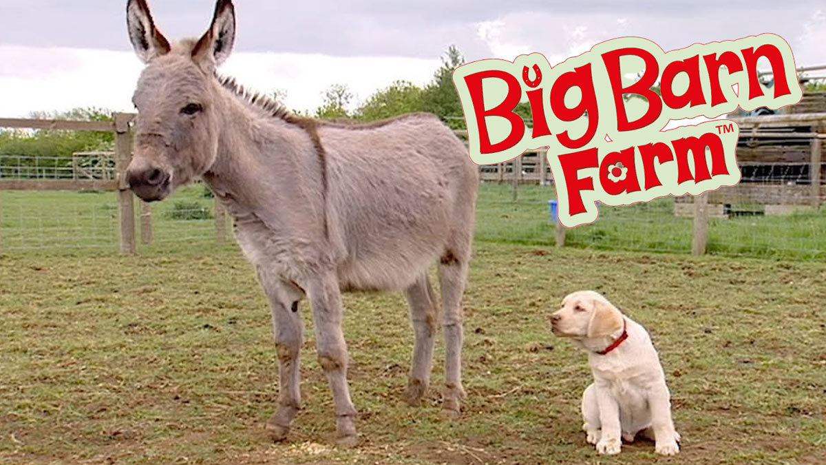 مجموعه Big Barn Farm(بیگ بارن فارم)