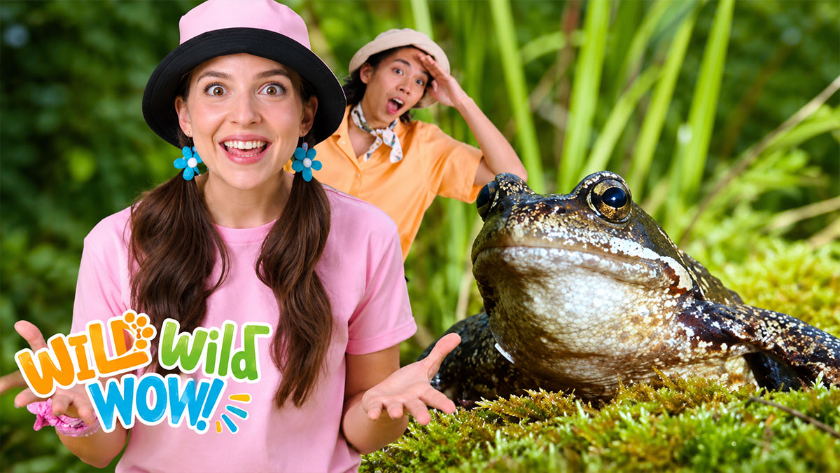  مجموعه Wild Wild Wow (حیات وحش شگفت‌انگیز)