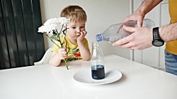 Science project for Mother's Day -  Coloured Flowers