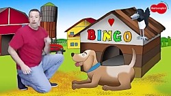 Bingo Dog Song - Animals with Steve and Maggie