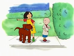 Caillou Goes Round the Block