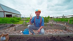 Blippi Farm Tour