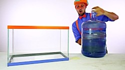 Blippi Sink or Float - Cool Science Experiment for Kids