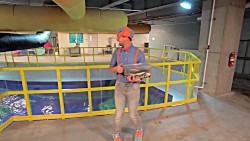 Blippi Visits The Aquarium