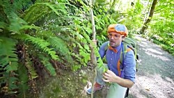 Learning About Nature On A Hike With Blippi