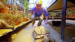 The Tortoise Song by Blippi