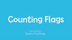 Counting Flags