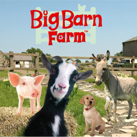 Big Barn Farm