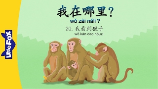 Where_Am_I_20__I_See_Monkeys_我在哪里