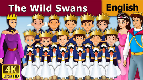 Wild Swans