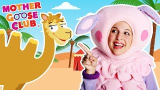 Alice the Camel  Funny Animal Counting Game