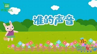 谁的声音 -28