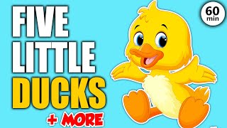 5 Little Ducks and More Learning Songs for Toddlers in English