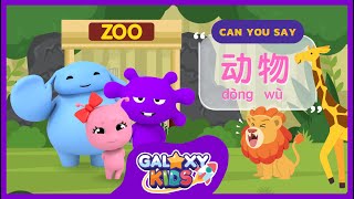 Lets Learn Chinese Zoo Animals