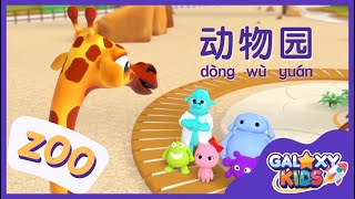 Learn Animals in Chinese