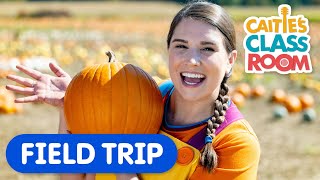 Pumpkin Patch Field Trip