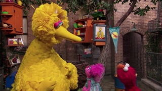 S47E12-Big Bird's Song