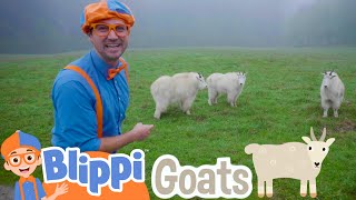 Blippi Explores A Wildlife Park