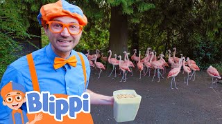 Blippi Feeds & Plays With Animals At The Zoo