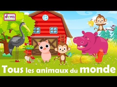 Ep4-Tous les animaux du monde