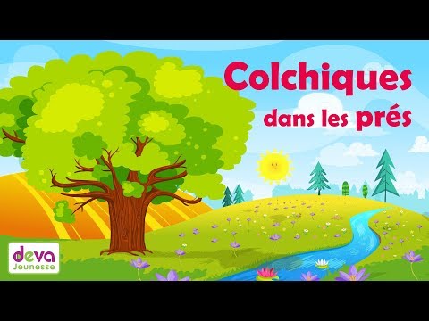 Ep5-Colchiques dans les prés