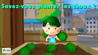 Ep44-Savez-vous planter les choux