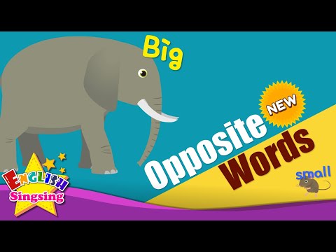 Kids vocabulary - [NEW] Opposite Words