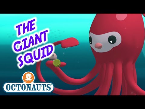 S01E06-Octonauts and the Giant Squid