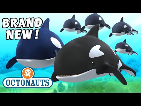 S01E07-Octonauts and the Orcas