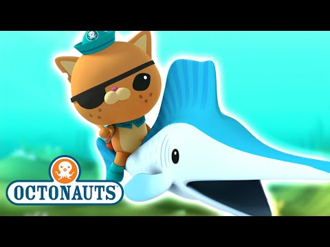 S01E10-Octonauts and the Speedy Sailfish