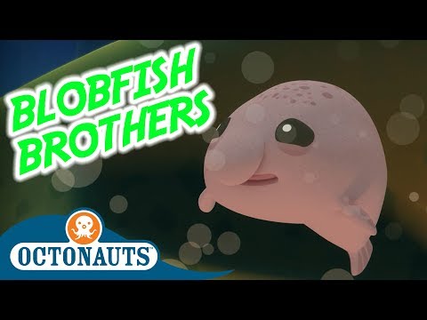 S01E11-Octonauts and the Blobfish Brothers