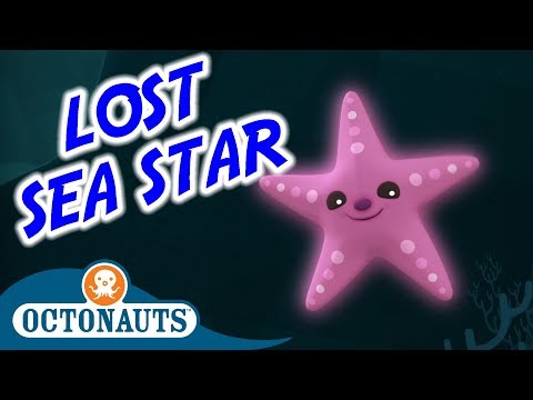 S01E13-Octonauts and the Lost Sea Star