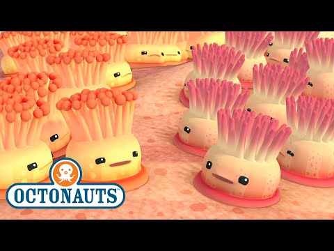 S01E16-Octonauts and the Enemy Anemones