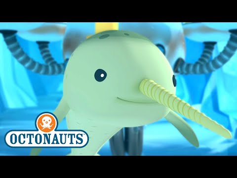 S01E17-Octonauts and the Narwhal