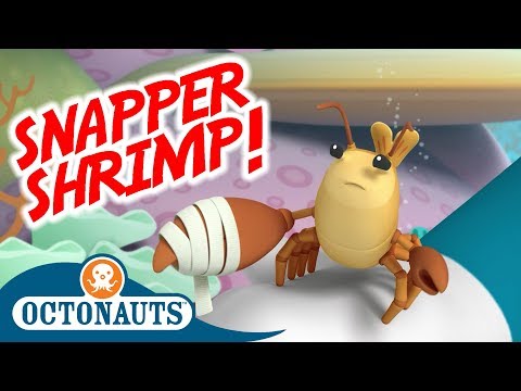 S01E19-Octonauts and the Snapping Shrimp