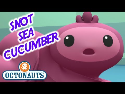 S01E20-Octonauts and the Snot Sea Cucumber