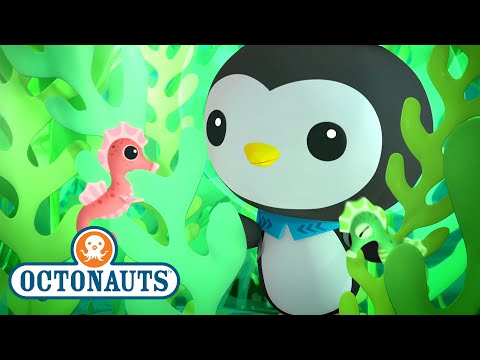 S01E29-Octonauts and the Seahorse Tale