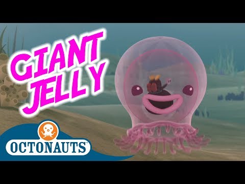 S01E30-Octonauts and the Giant Jelly