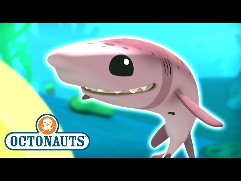 S01E31-Octonauts and the Cookiecutter Sharks