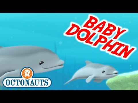 S01E35-Octonauts and the Baby Dolphin