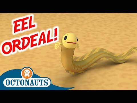 S01E42-Octonauts and the Eel Ordeal