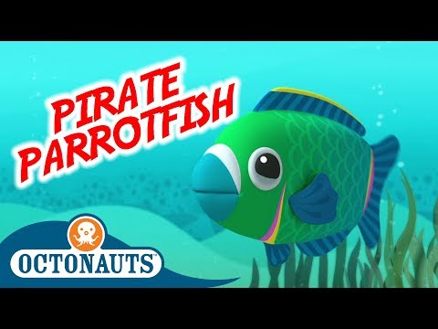 S01E45-Octonauts and the Pirate Parrotfish