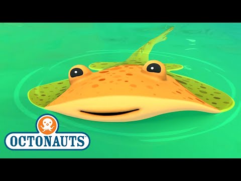 S01E46-Octonauts and the Electric Torpedo Rays