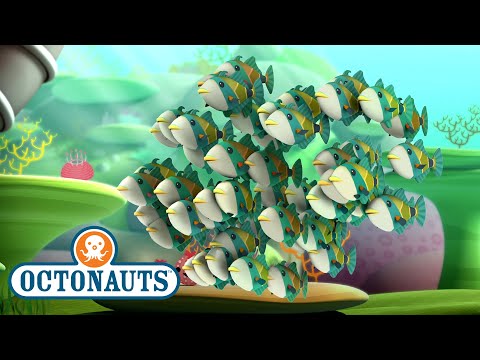 S01E49-Octonauts and the Humuhumunukunukuapua'a