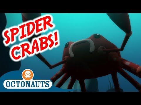 S01E50-Octonauts and the Giant Spider Crab