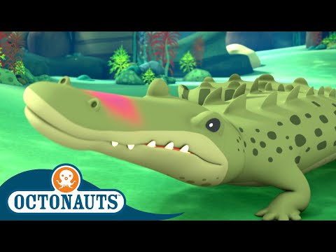 S02E20-Octonauts and the Saltwater Crocodile