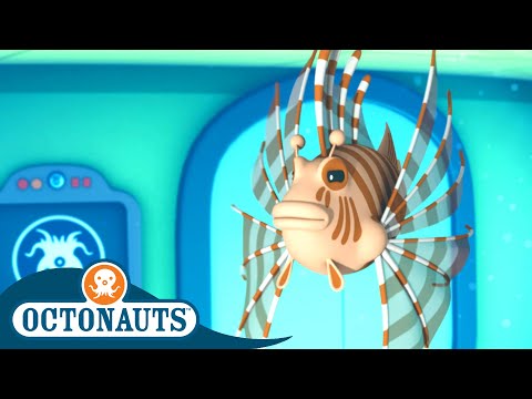 S02E17-Octonauts and the Lionfish