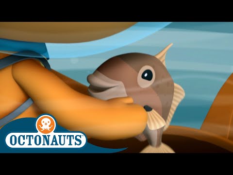 S02E15-Octonauts and the Triggerfish