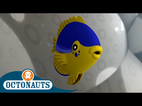 S02E09-Octonauts and the Damselfish