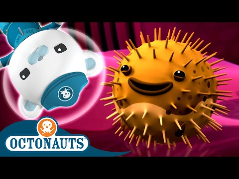 S02E08-Octonauts and the Porcupine Puffer